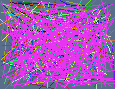 locating unpublished numbers